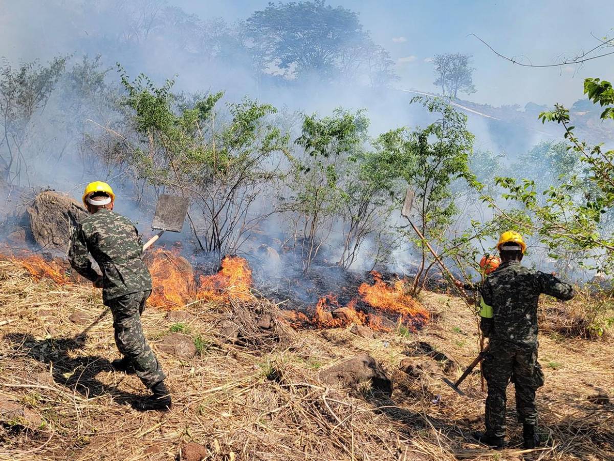 Solo durante el fin de semana se registraron 15 incendios forestales en Honduras