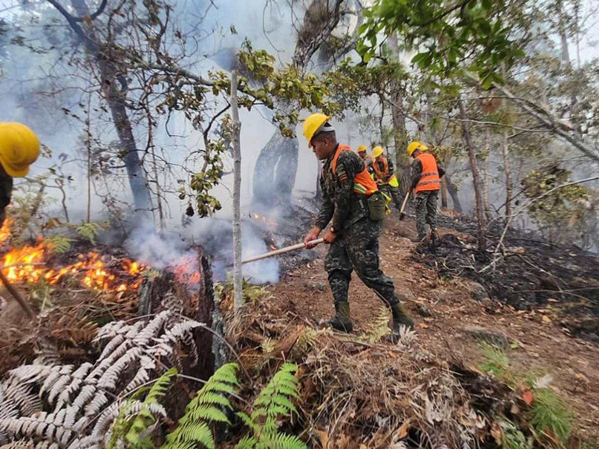 Solo durante el fin de semana se registraron 15 incendios forestales en Honduras