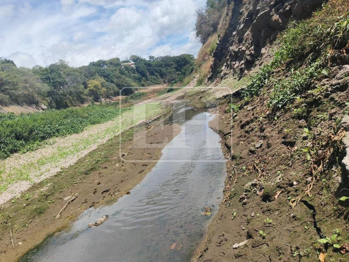 Como un hilo de agua: así está este 7 de septiembre el río Guacerique que agoniza por la sequía