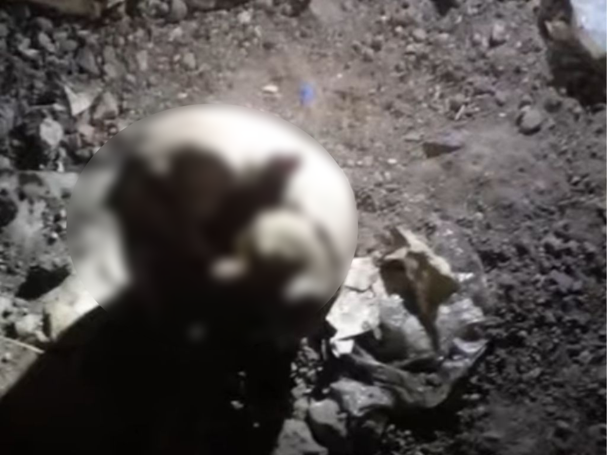 Los recolectores de basura reportaron el segundo hallazgo.