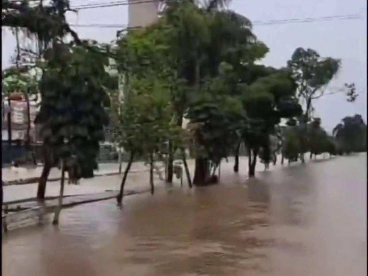 Lluvias vuelven a azotar el sur de Brasil y dejan unos 1,300 damnificados