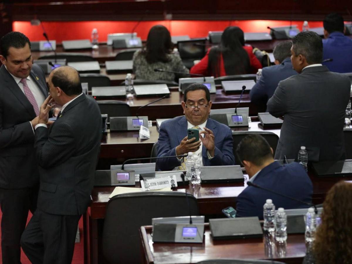 Atentos al celular, al “chismecito” y al café: diputados en plena sesión parlamentaria