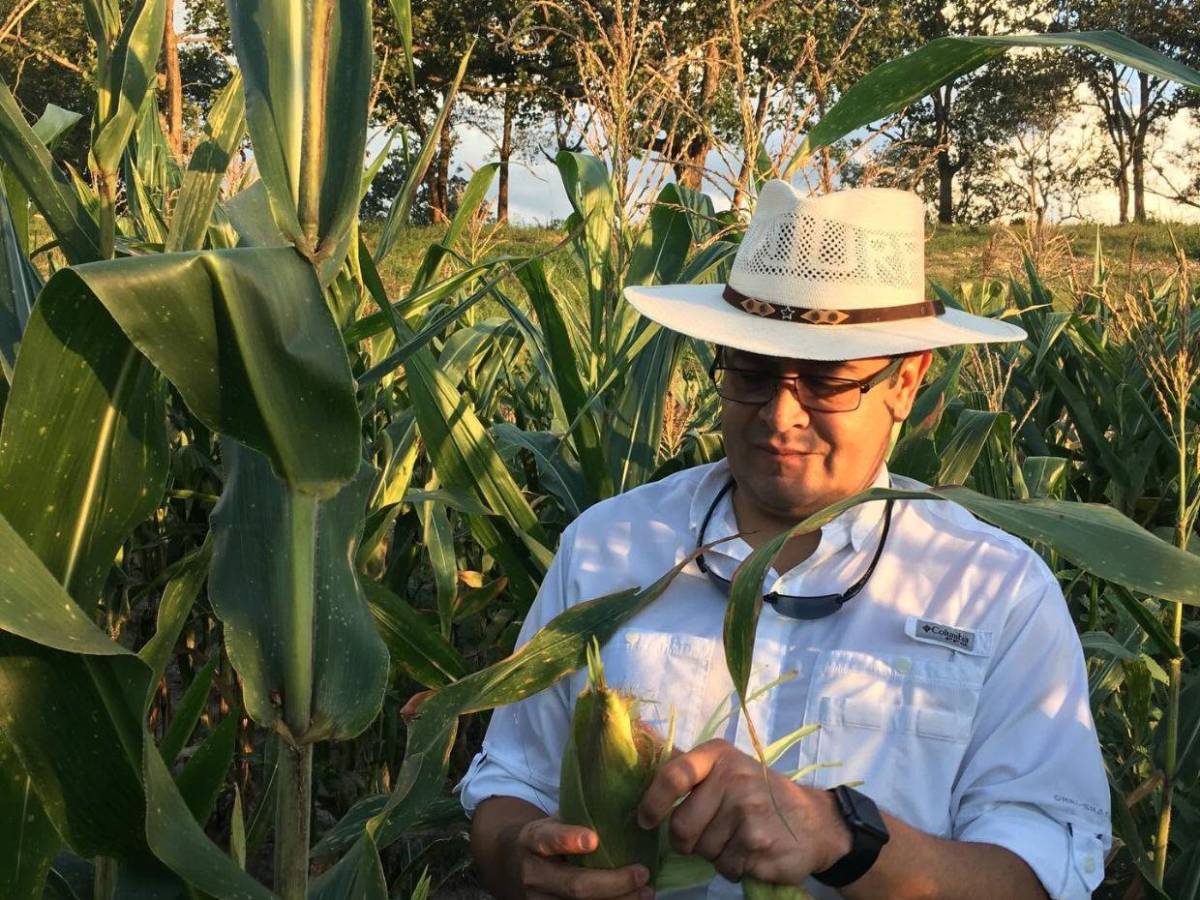 ¿De qué delitos acusan a JOH en Honduras previo a su retorno?