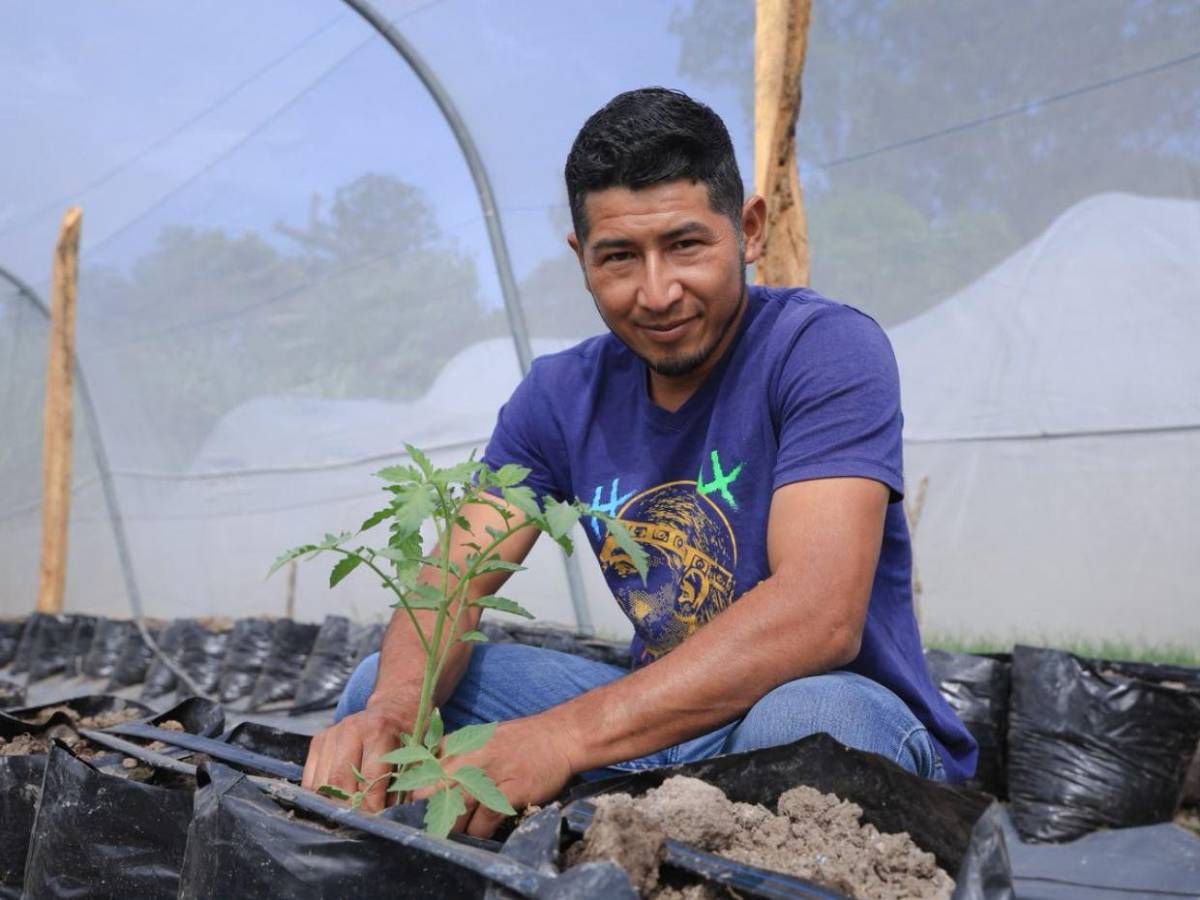 ¿Quiénes podrán acceder al nuevo proyecto agrícola de L455 millones anunciado por Nasry Asfura?