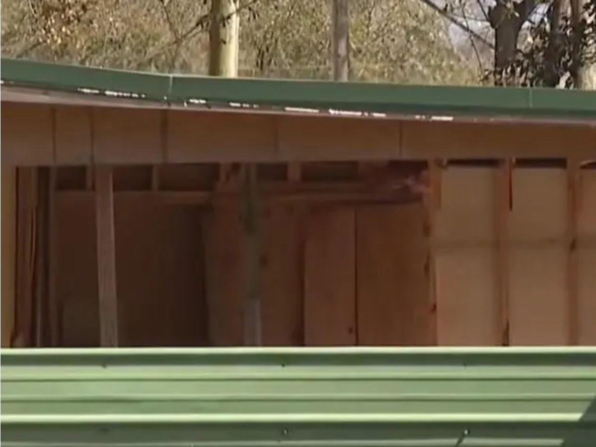 Tenía 17 golpes en su cabeza y costillas rotas: Orlin murió torturado por su tío en EE UU