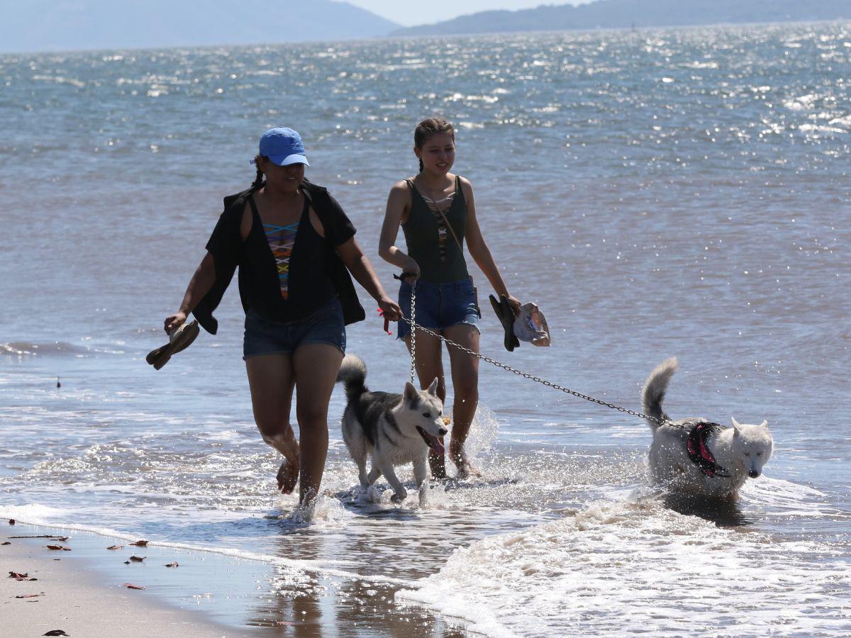 Sol, arena y belleza femenina, así se disfruta el verano en Punta Ratón Sol, arena y belleza femenina, así se disfruta el verano en Punta Ratón