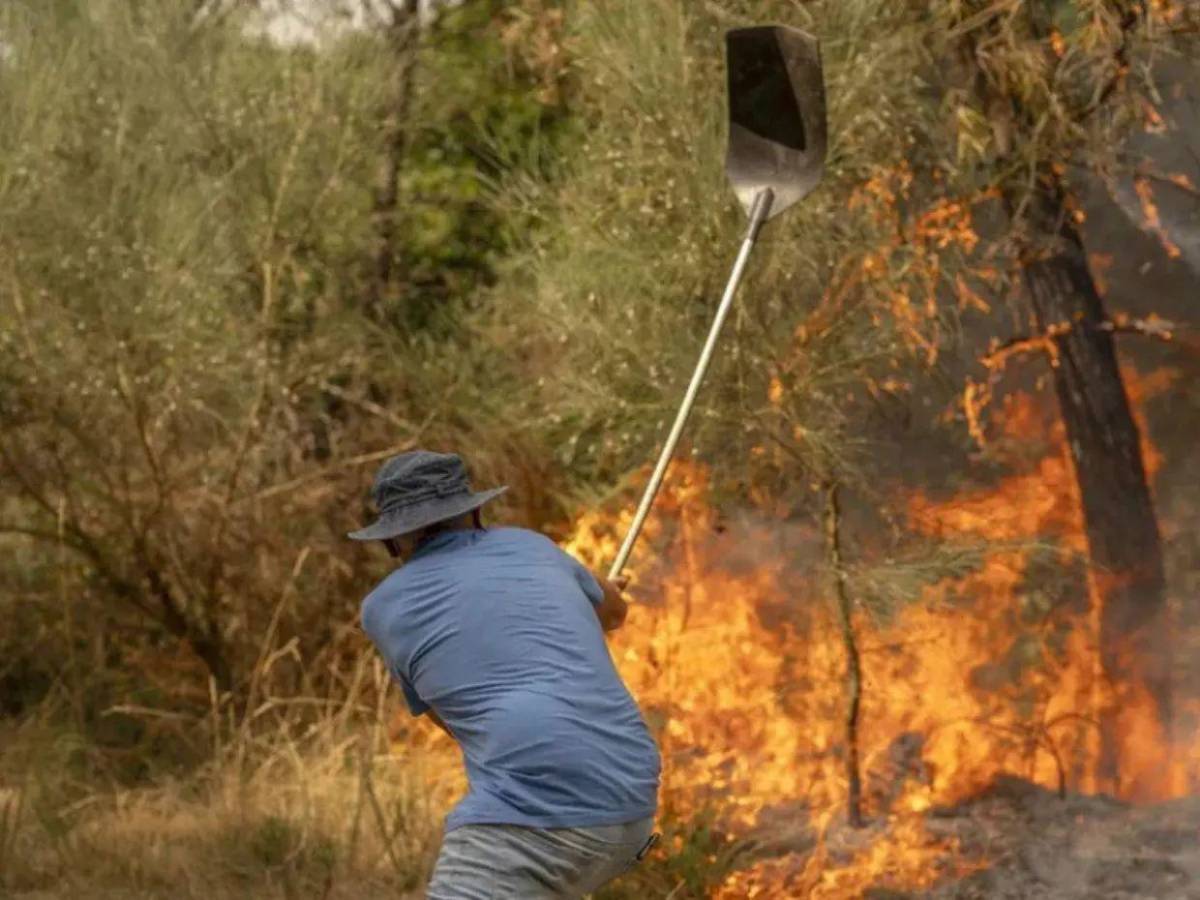 77,000 hectáreas quemadas en el centro de España mientras empieza a contenerse el fuego