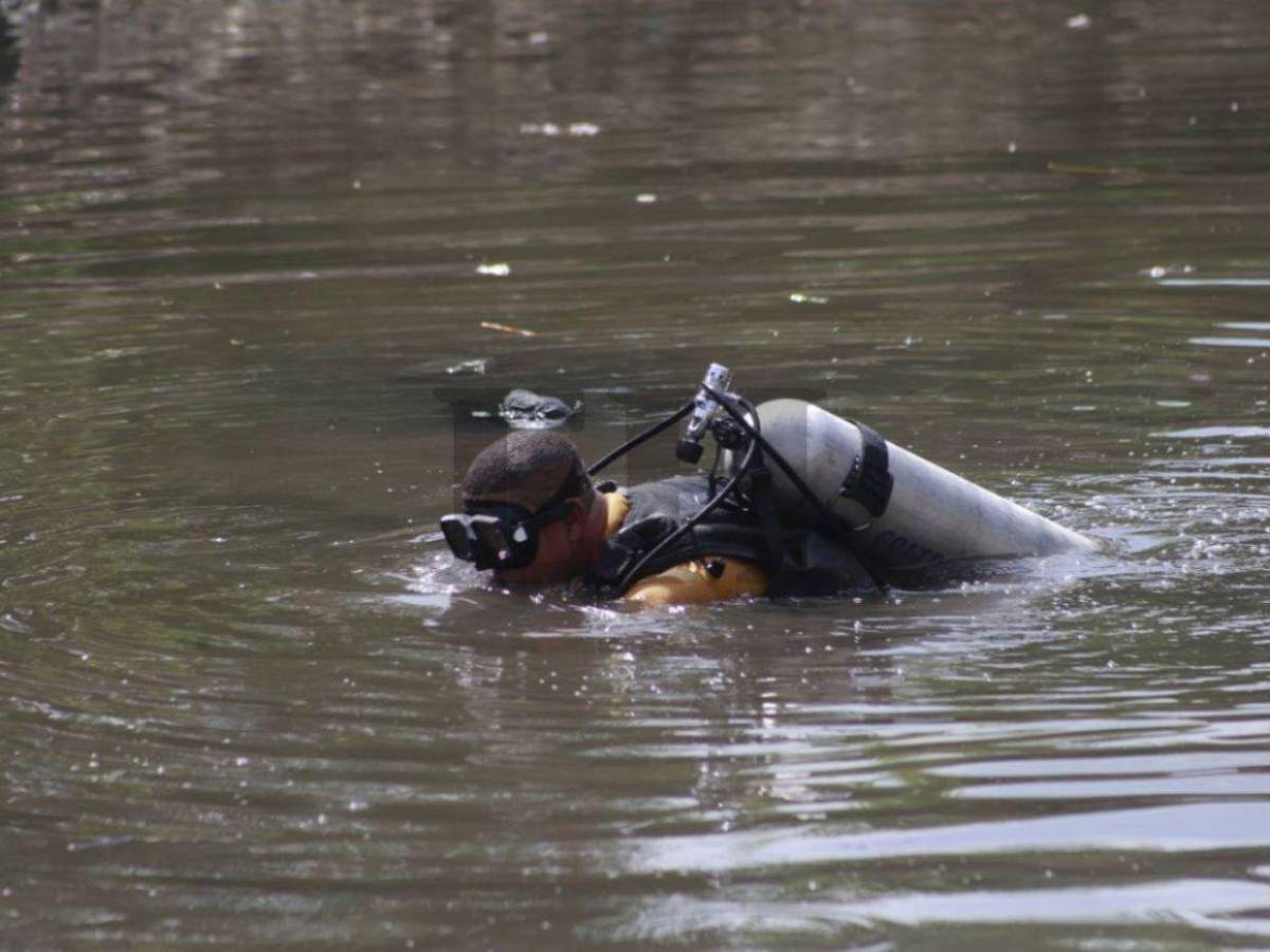 Había cocodrilos y no hay rastro de su cuerpo: últimos detalles del caso de Elvis Eliú Bautista