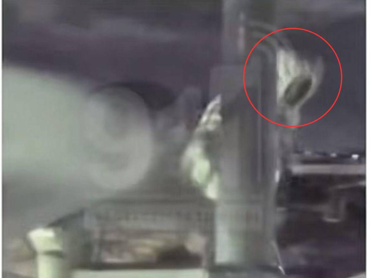 Cuadro a cuadro: Así fue como sujetos dañaron cámaras del 911 en Sipile; uno fue capturado