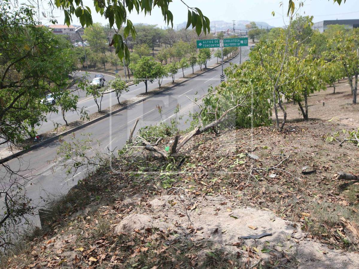 Piques y alcohol: revelaciones sobre accidente donde murieron dos menores en Altos de Toncontín