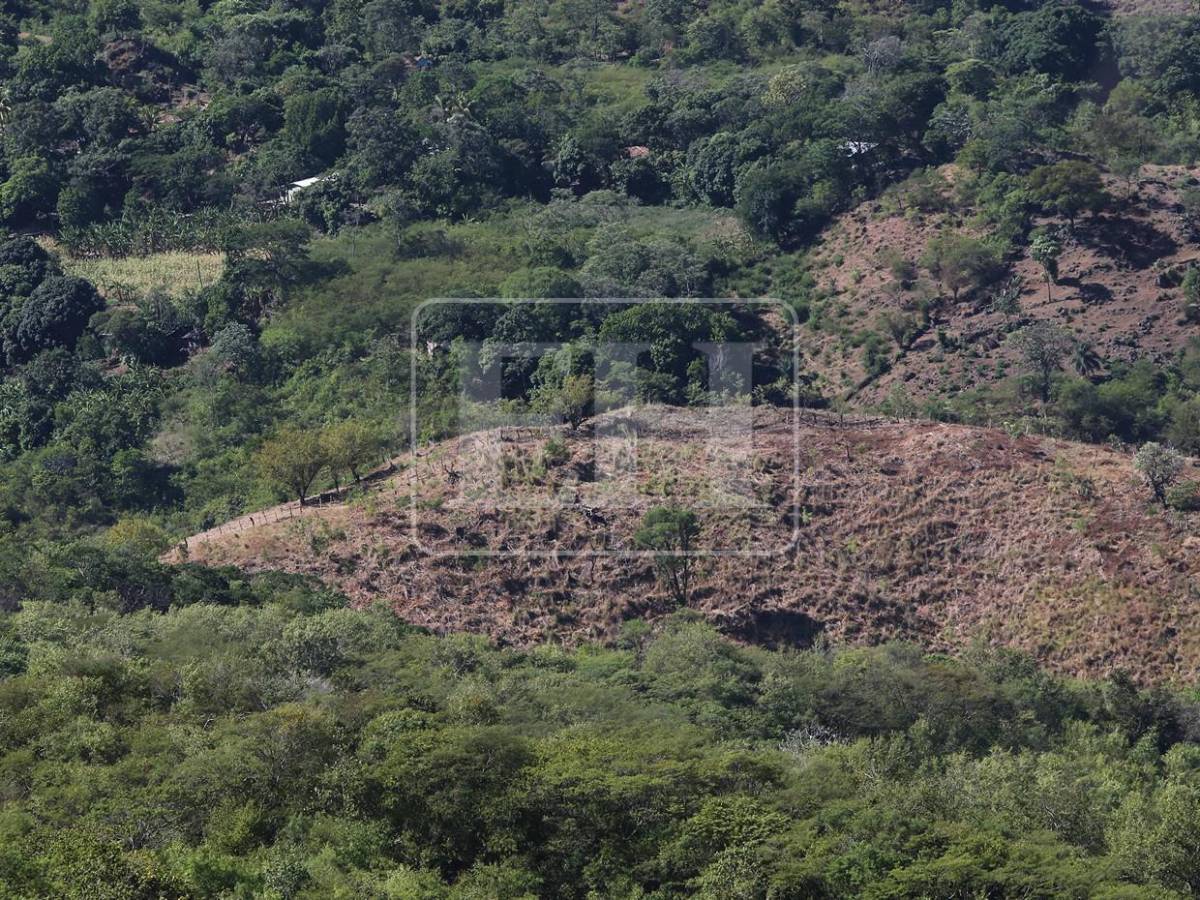 No se salvó ni un cultivo, ahora peligra el agua para consumo: el rastro de la sequía en el Corredor Seco