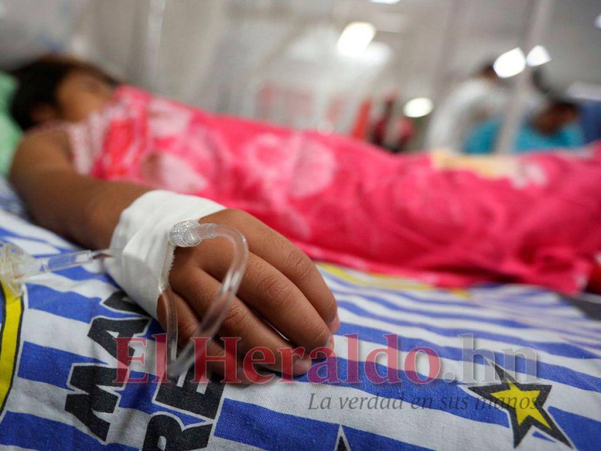 Lempira y Copán bajo epidemia por dengue; Olancho entró a zona de alerta