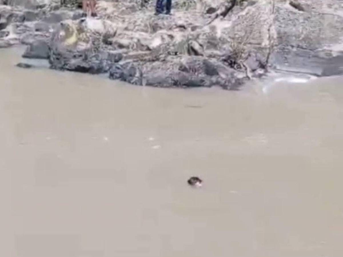 Así fue persecución de sospechoso de raptar a niña en Amarateca: ¿tenía antecedentes de abuso?