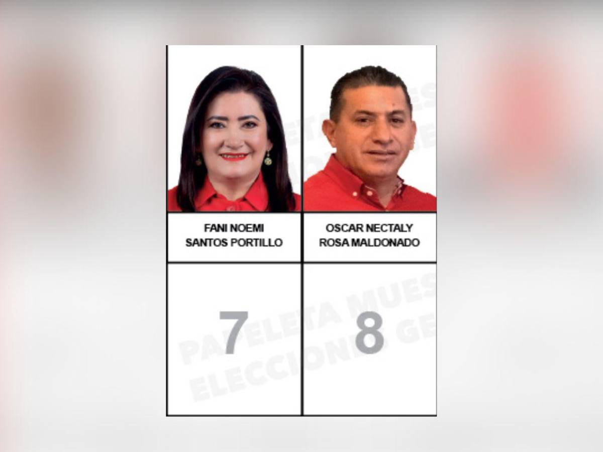 Diputados que buscan reelección y nuevos aspirantes integran la papeleta del Partido Liberal