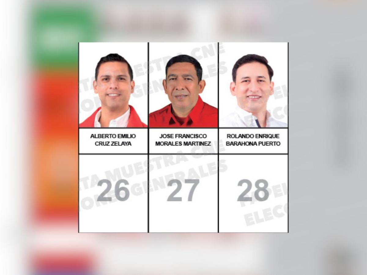 Uno estuvo en tres partidos: los candidatos a diputados por Comayagua