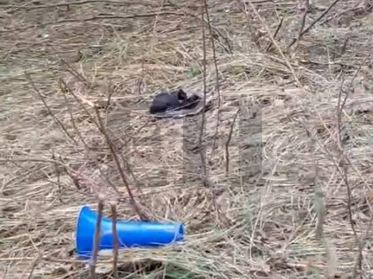 Zapatos, banderas y vidas destrozadas, evidencias en sitio del accidente en Santa Bárbara