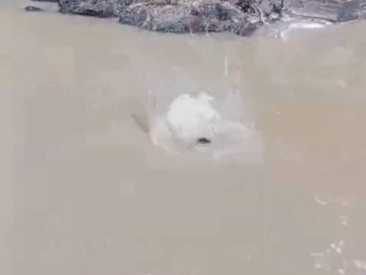 Así fue persecución de sospechoso de raptar a niña en Amarateca: ¿tenía antecedentes de abuso?