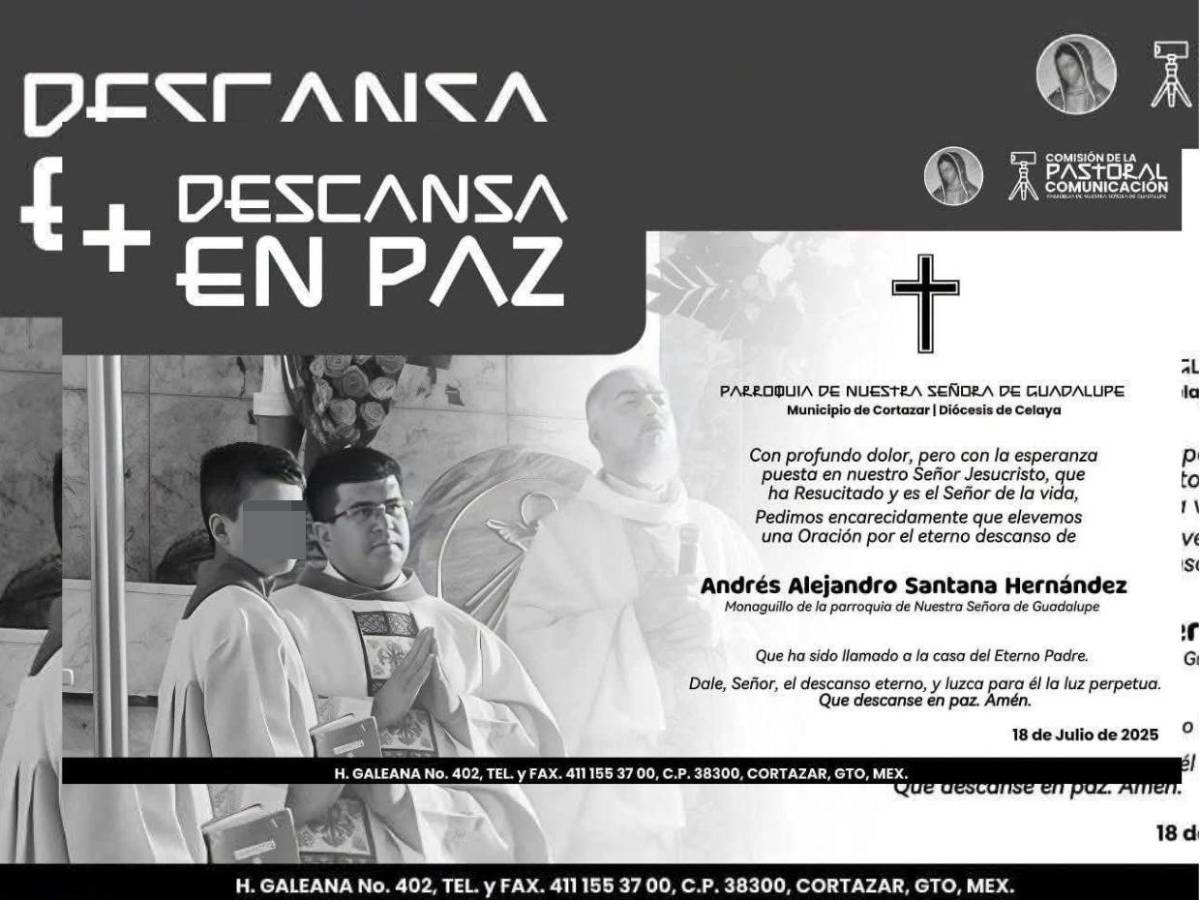 Adolescente de 14 años muere devorado por cocodrilos tras caer de un puente en México