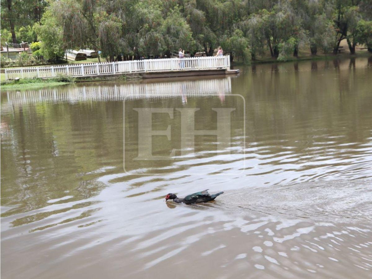Frescura, fauna y viajes en bote de pedales: disfruta del Parque Aurora esta Semana Santa