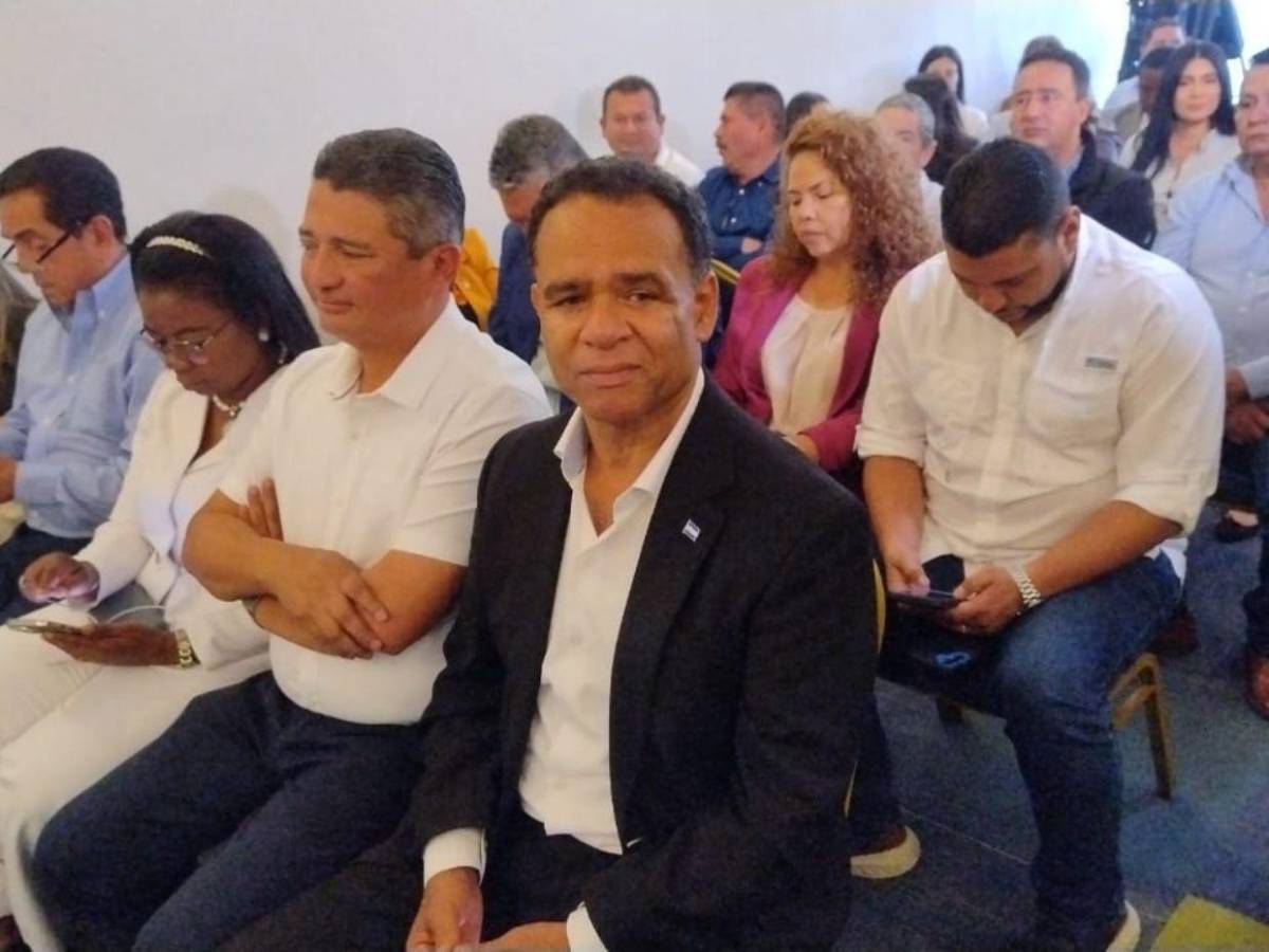 Diputados asisten a autoconvocatoria para conocer informe de la Comisión Especial del Congreso Nacional