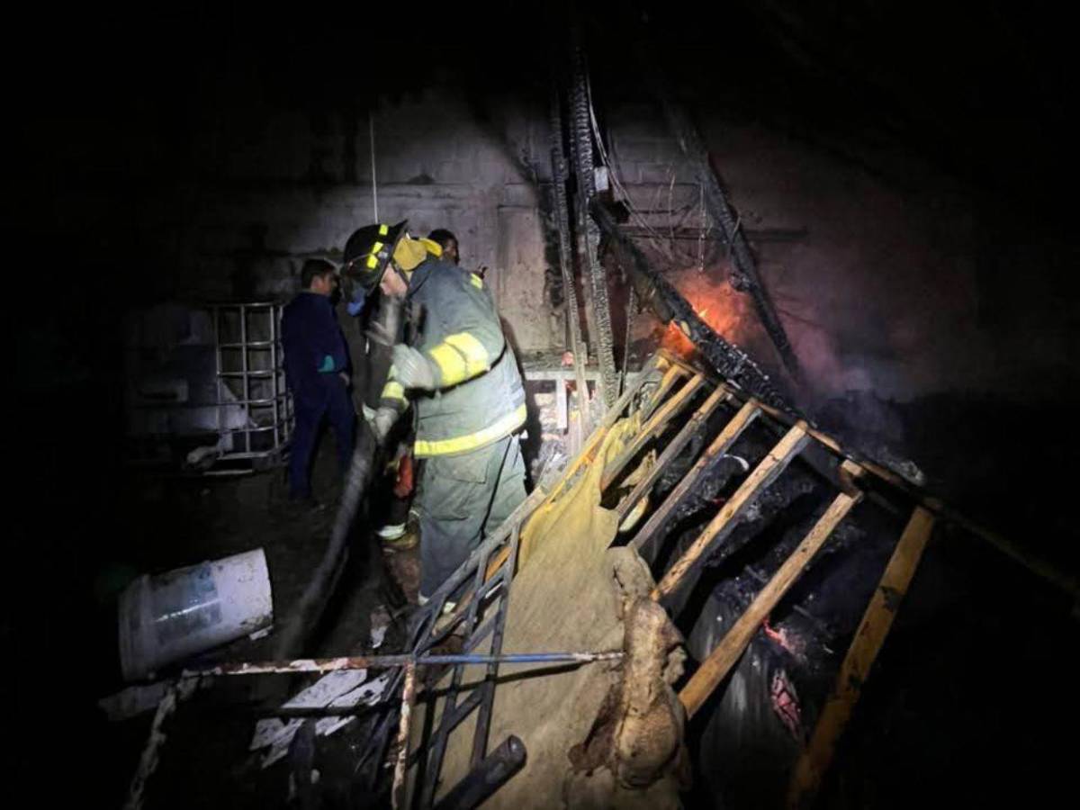Uno se escondió debajo de la cama: Ricardo y Ronald, hermanitos que murieron carbonizados en Nueva Suyapa
