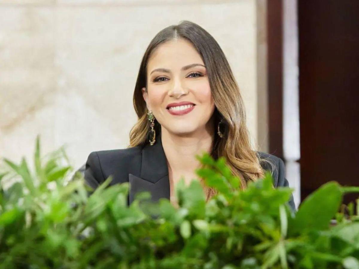 Conoce las figuras mediáticas que están saliendo como diputados de Francisco Morazán