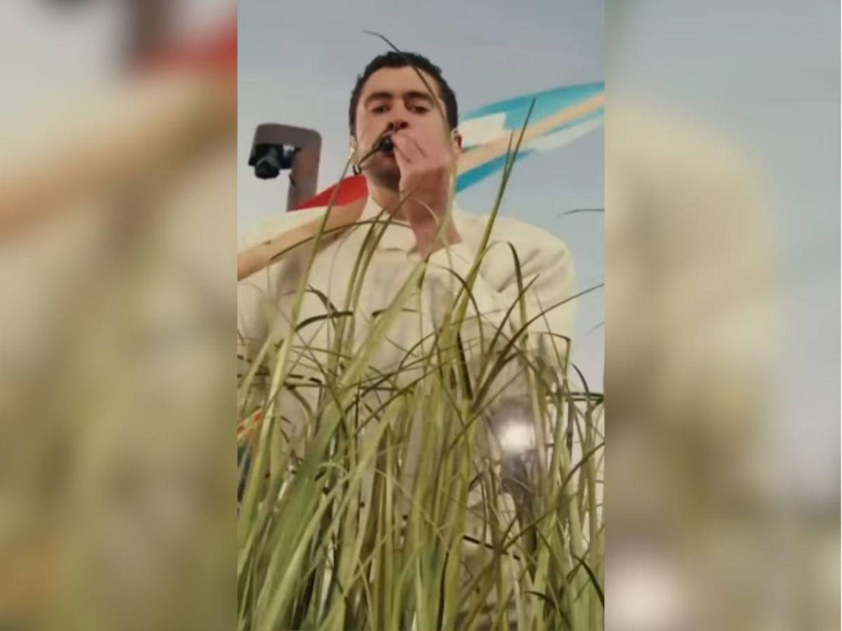 ¿Cuánto ganaron los arbustos que acompañaron a Bad Bunny en el Super Bowl?