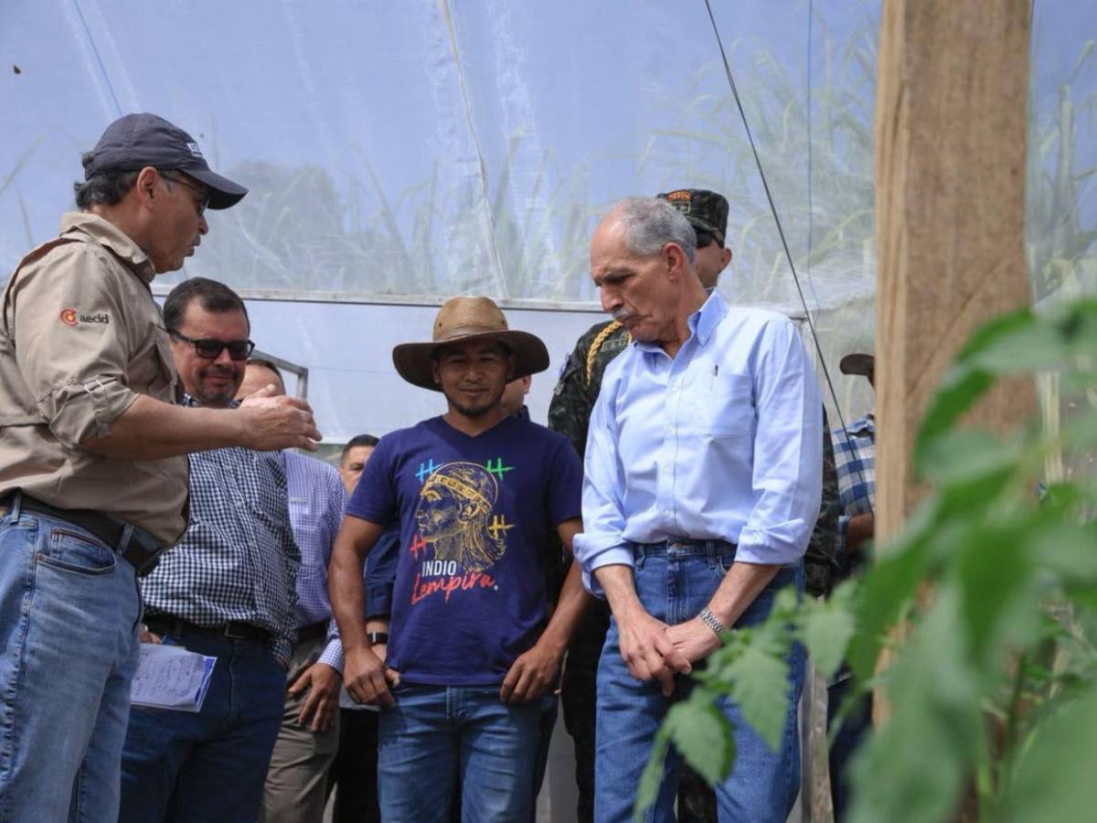 ¿Quiénes podrán acceder al nuevo proyecto agrícola de L455 millones anunciado por Nasry Asfura?
