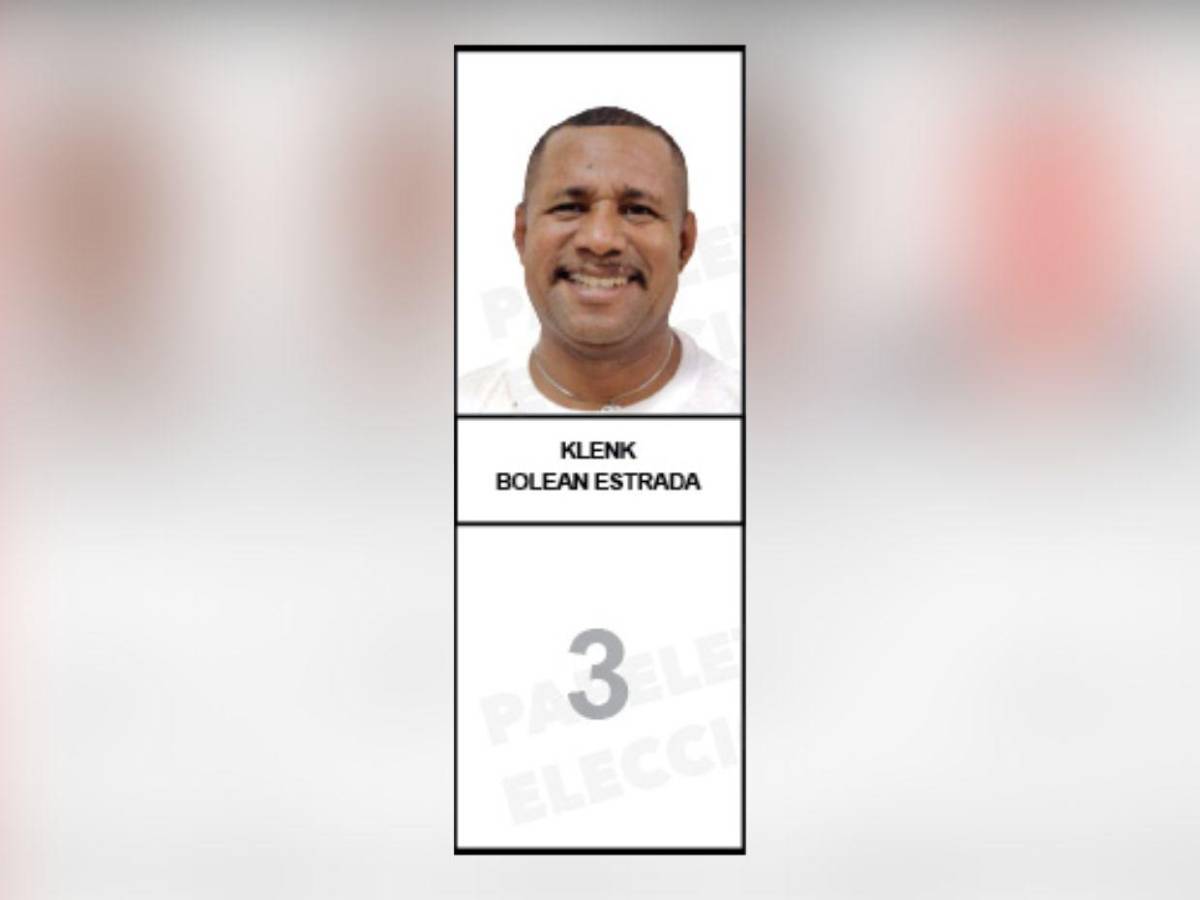 ¿Quiénes son los candidatos a diputados por el PINU-SD, de Nelson Ávila?