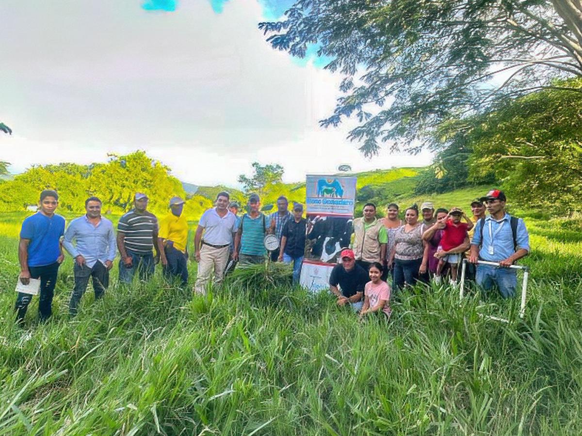 Los ganaderos refuerzan sus habilidades técnicas en las escuelas.