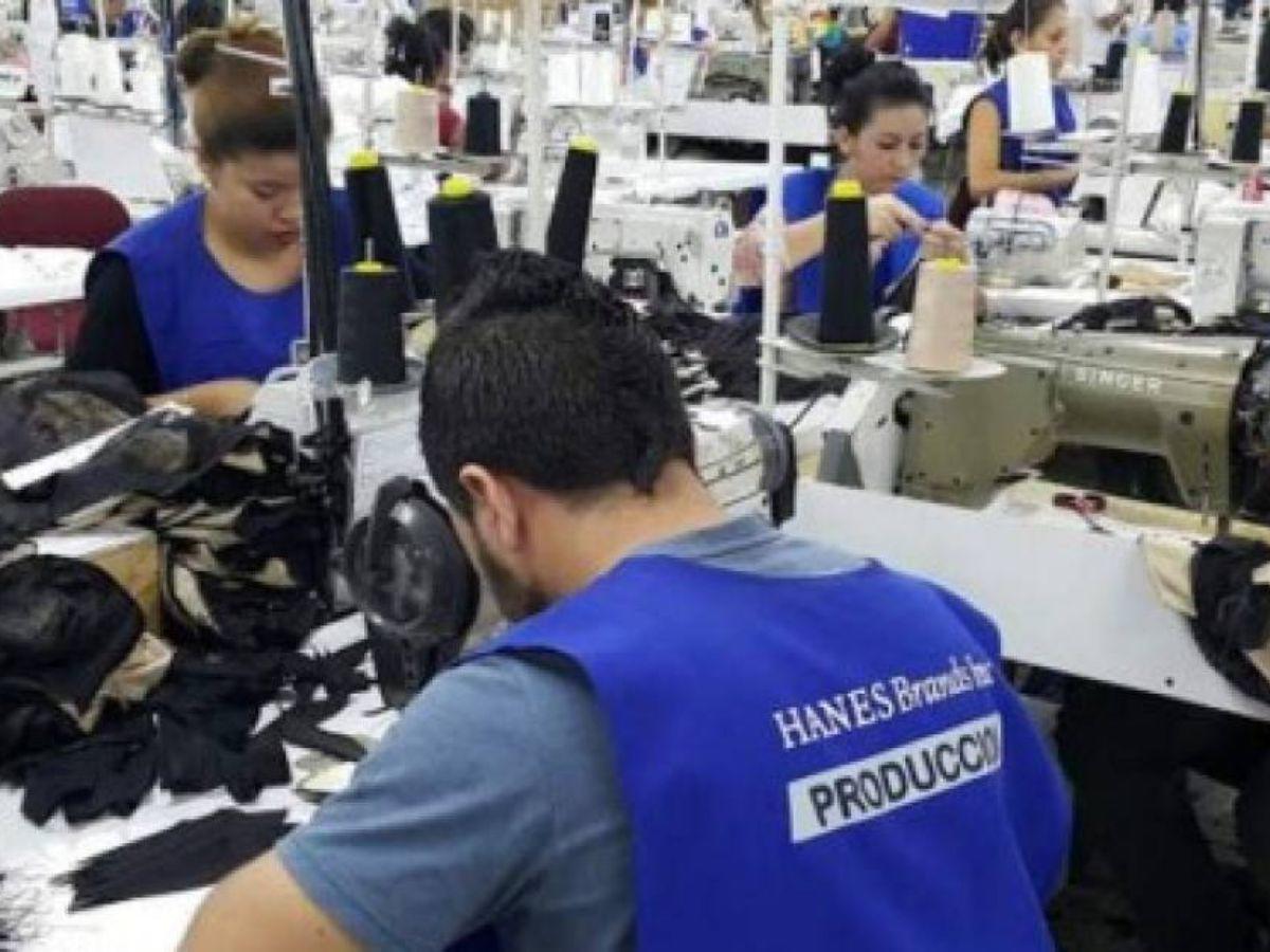 ¿Cuántos trabajadores en Honduras son beneficiados de la Ley de Salario Mínimo?