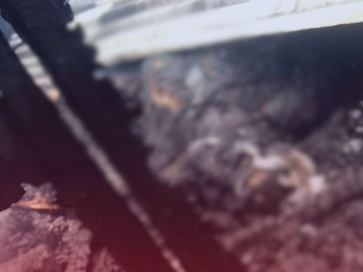 Quedó carbonizado: Osman Jiménez, de 50 años, víctima del incendio en la colonia Santa Clara