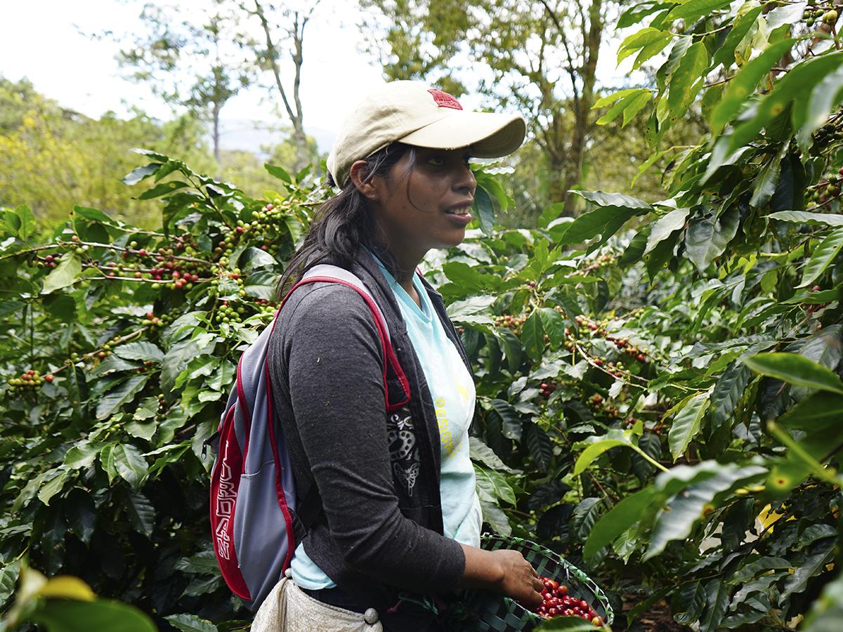 En este Día Nacional de la Mujer Hondureña, rendimos homenaje a las mujeres que dan rostro al café hondureño.