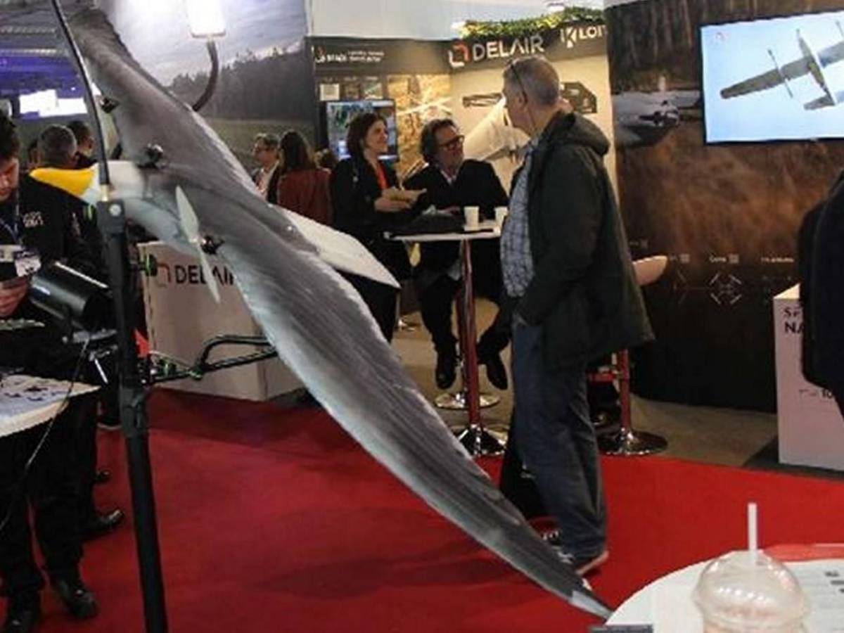 Seagull Evo, avanzado dron de vigilancia que imita el vuelo de una gaviota real
