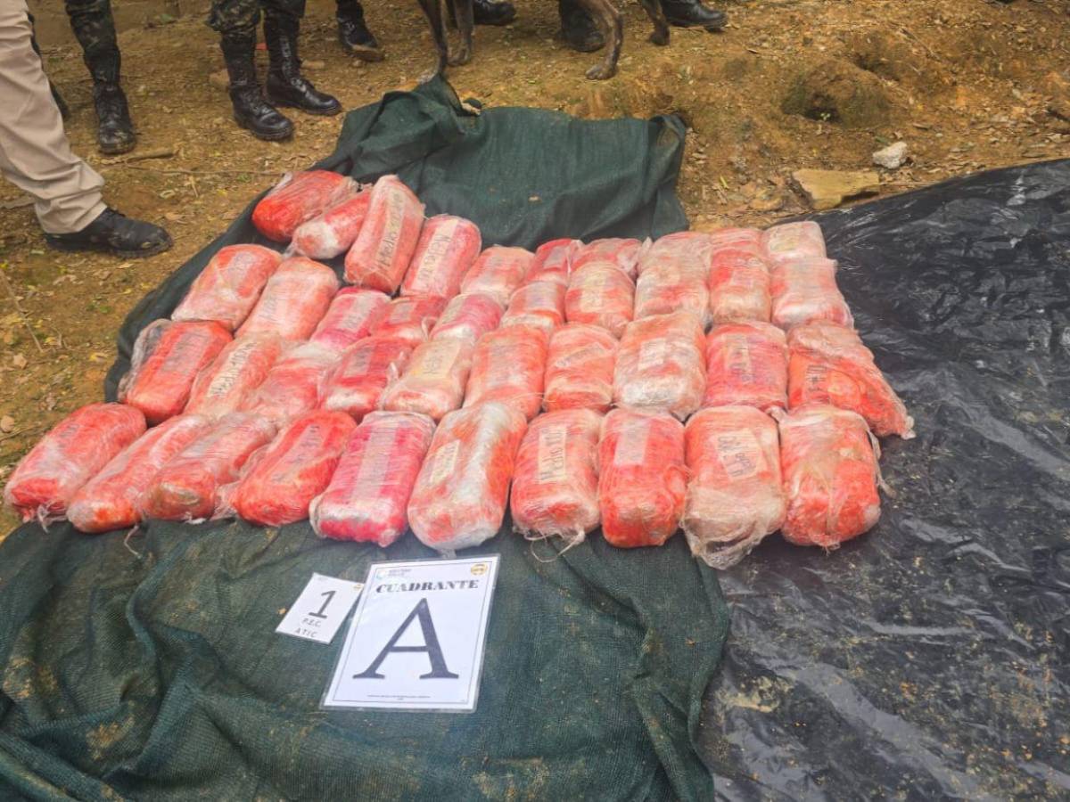 Lleno de drogas y armas: así estaba el búnker de la MS-13 hallado en zona montañosa de Omoa