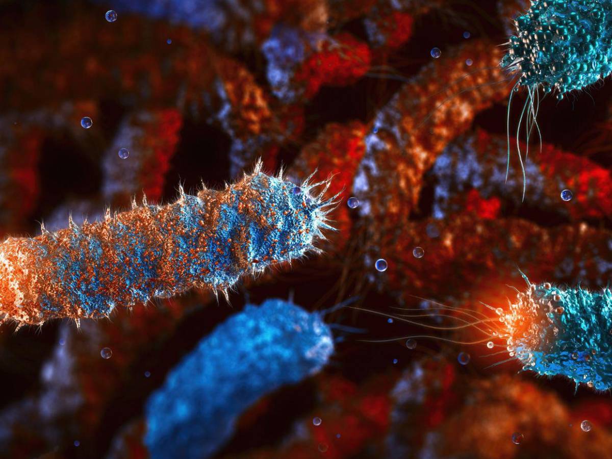 Legionelosis: Síntomas y tratamiento de la enfermedad que preocupa a Nueva York