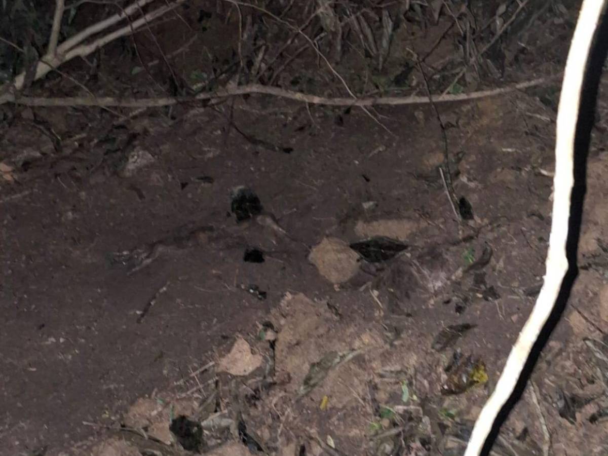 Caso de Aleyda Santos: Fue asesinada el día de su secuestro y seguían cobrando el rescate