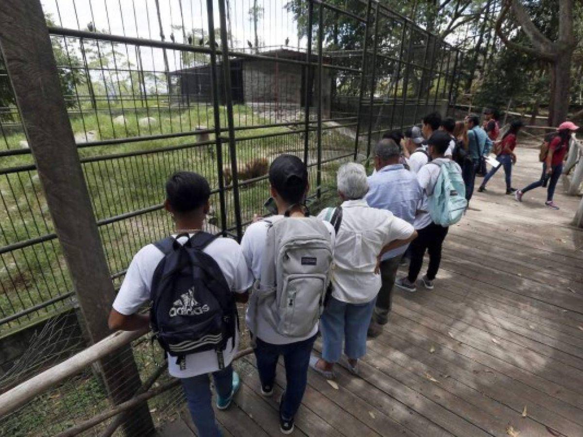 ¿Qué lugares puedo visitar sin salir de Tegucigalpa durante la Semana Santa?