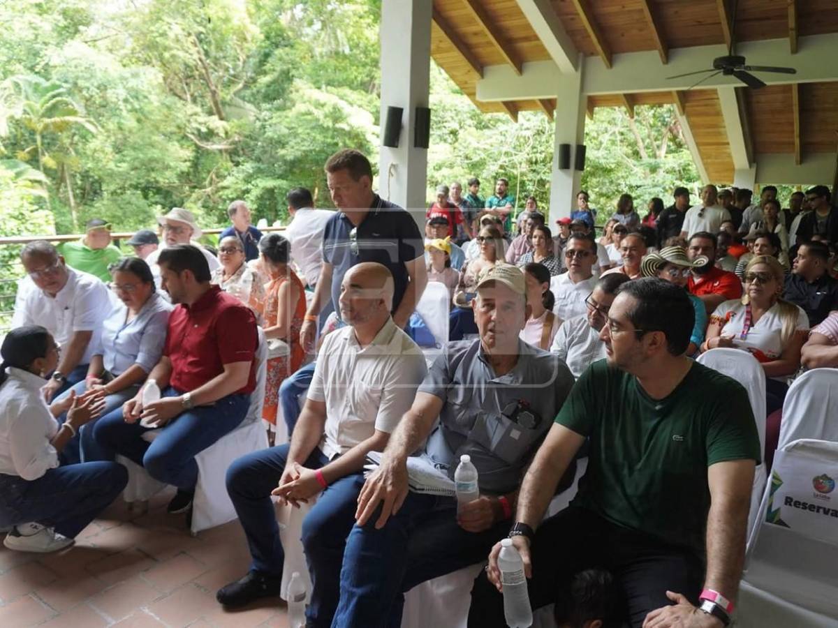 Guacamayas rojas surcan los cielos de La Ceiba, tras más de 60 años de ausencia