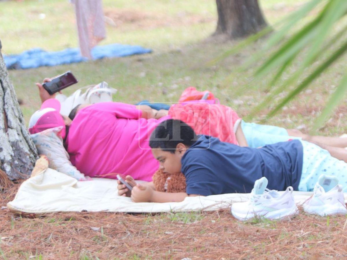 Reapertura a lo grande: actividades y diversión familiar en el Parque Obrero