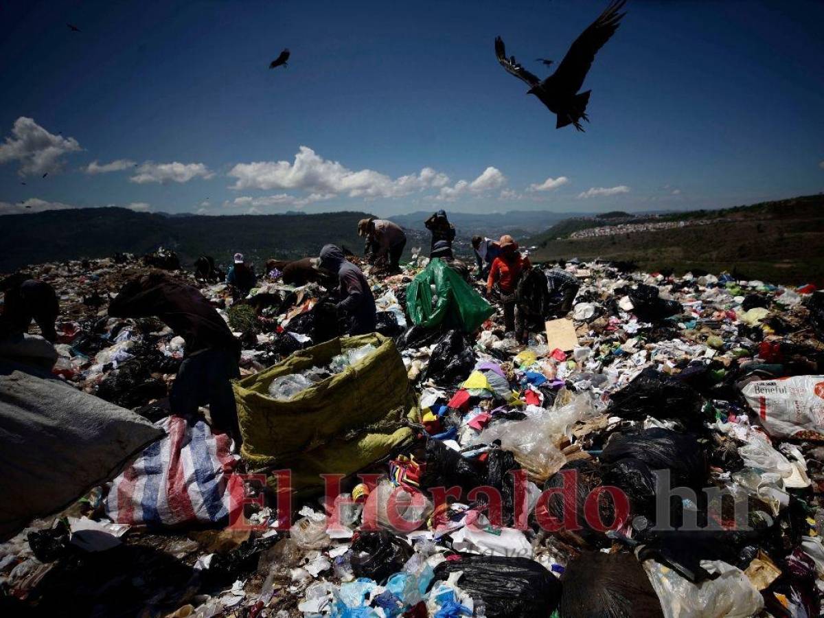 El olvido y precariedad es el costo de vivir del reciclaje en el crematorio municipal