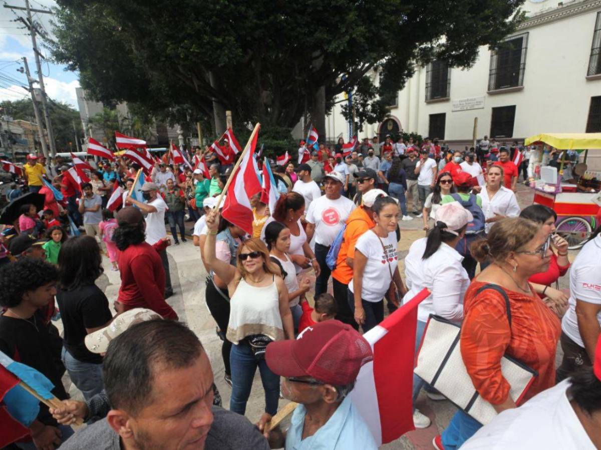 Liberales se manifiestan afuera del Congreso Nacional; piden respetar la democracia