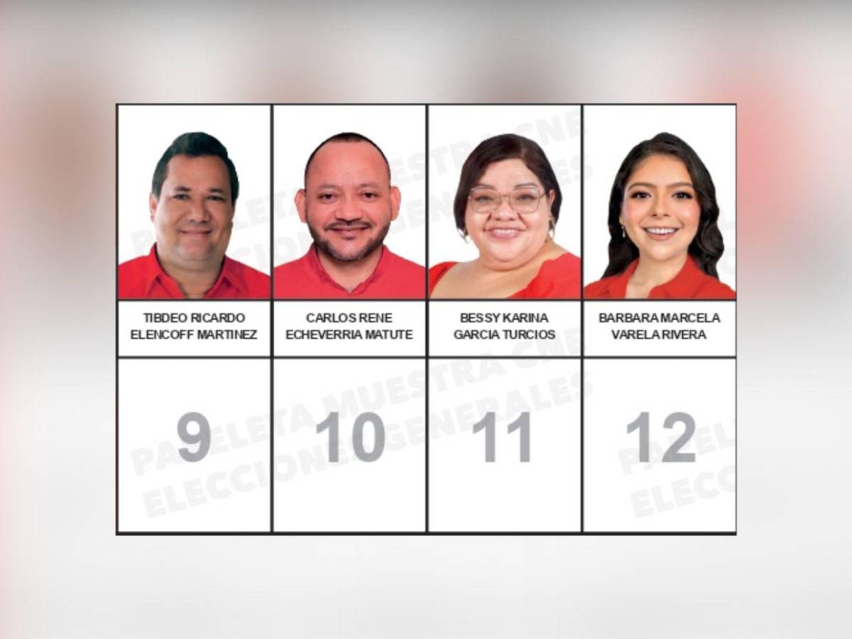 Diputados que buscan reelección y nuevos aspirantes integran la papeleta del Partido Liberal