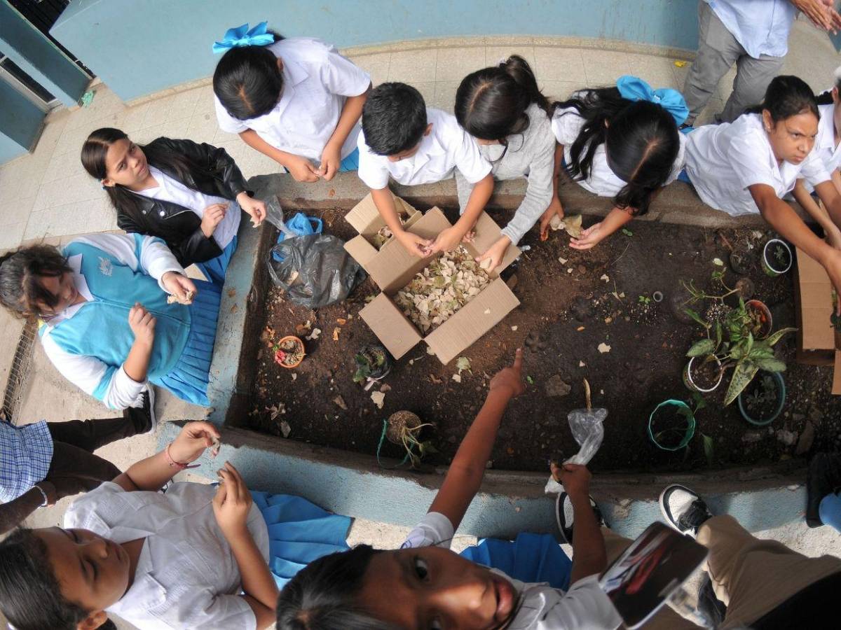 Escuelas Amigables: Niños ya son expertos en elaboración de compostaje