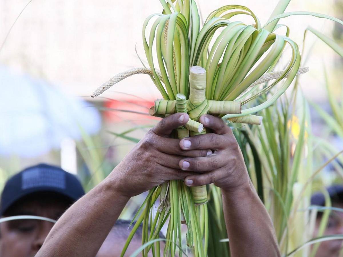 Las mejores imágenes que dejó el Domingo de Ramos de 2025 en Honduras Las mejores imágenes que dejó el Domingo de Ramos de 2025 en Honduras