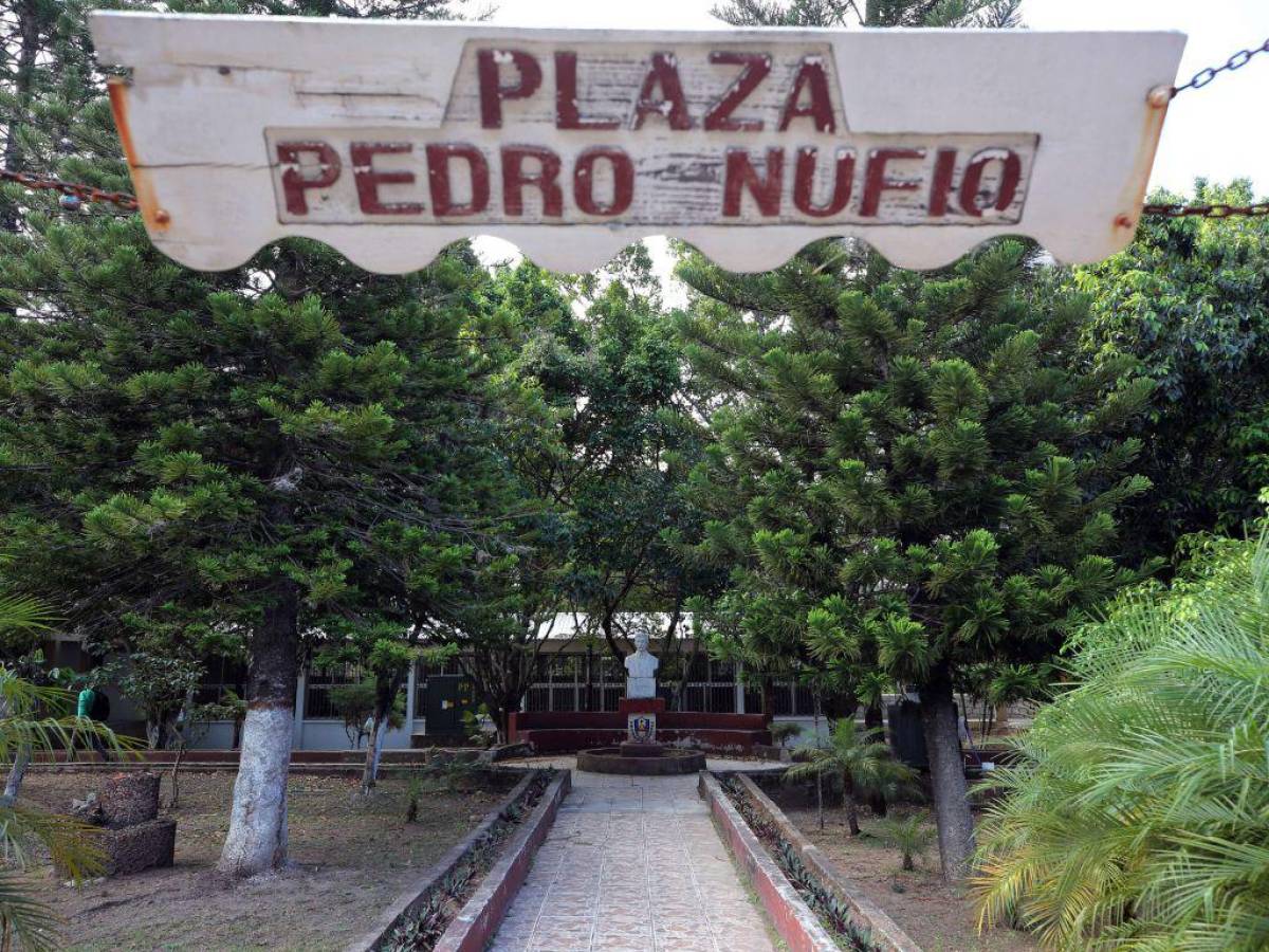 Solo docentes bilingües y con maestría optarán a plaza en las escuelas normales en Honduras