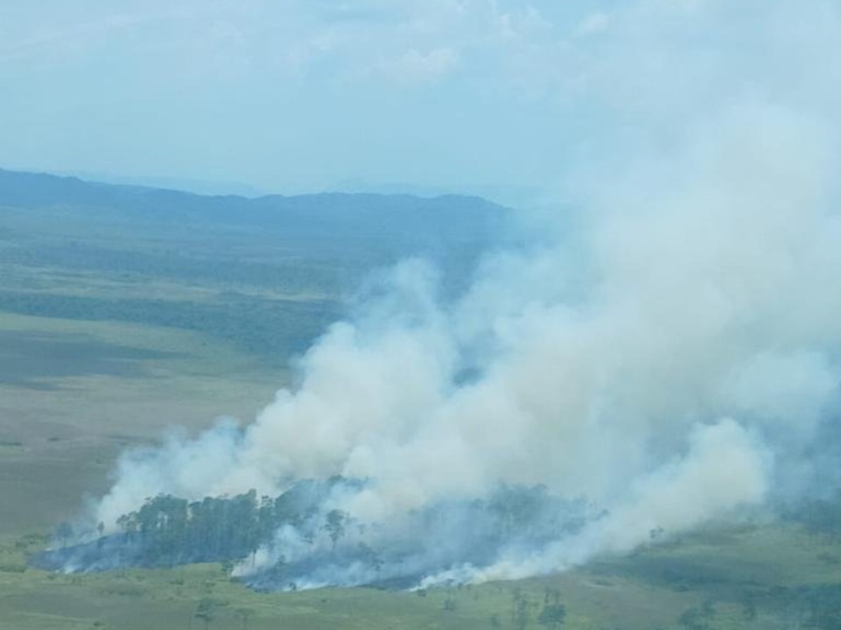Primeras imágenes del infierno ocurrido en la Biósfera del Río Plátano, en el departamento de Gracias a Dios.