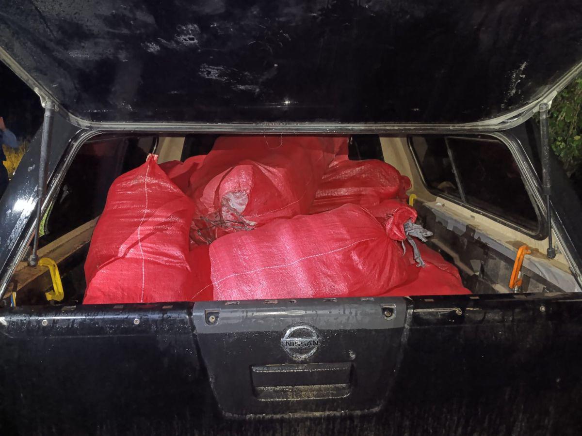 Llevaban droga en sacos: decomisan supuesta cocaína y marihuana en Pimienta, Cortés