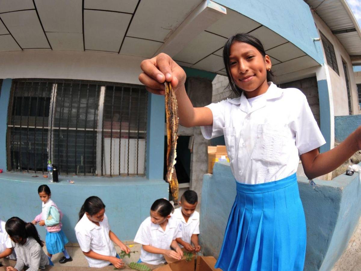 Escuelas Amigables: Niños ya son expertos en elaboración de compostaje