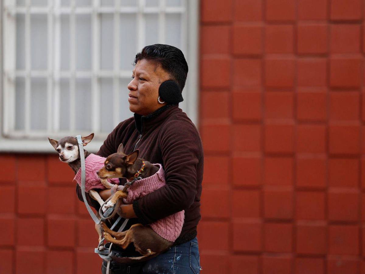 En fotos: Fuerte sismo sorprende a mexicanos este viernes